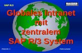 Globales Intranet mit zentralem SAP R/3 System