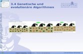 3.4 Genetische und  evolutionäre Algorithmen