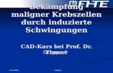 Bekämpfung maligner Krebszellen durch induzierte Schwingungen CAD-Kurs bei Prof. Dr. Theuer