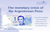The monetary crisis of the Argentinean Peso