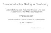 Europapolischer Dialog in Straßburg