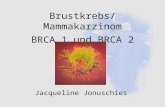 Brustkrebs/Mammakarzinom BRCA 1 und BRCA 2