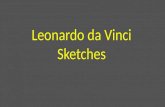 Leonardo da Vinci Sketches
