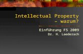 Intellectual Property  –  warum?