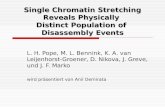 Single Chromatin Stre t ching Reveals Physically  Distinct Population of  Dis as sembly Events