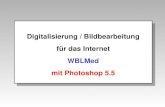 Digitalisierung / Bildbearbeitung für das Internet WBLMed mit Photoshop 5.5
