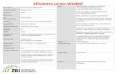 Effizientes Lernen WS06/07