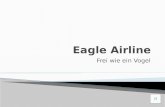 Eagle Airline