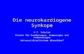 Die neurokardiogene Synkope