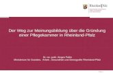 Der Weg  zur Meinungsbildung über die Gründung  einer Pflegekammer  in Rheinland-Pfalz