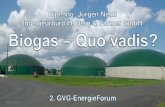 Biogas – Quo  vadis ?