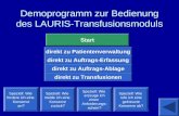 Demoprogramm zur Bedienung des LAURIS-Transfusionsmoduls