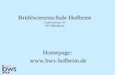 Brühlwiesenschule Hofheim Gartenstrasse 28 65719Hofheim