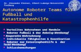 Autonome Roboter Teams für Fußball und Katastrophenhilfe