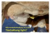 NEK Mutterkuhhaltung  14.2.2013 Tierhaltung light?