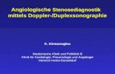 Angiologische  Stenosediagnostik  mittels Doppler-/Duplexsonographie K. Kirmanoglou