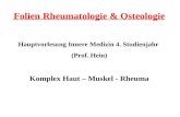 Folien Rheumatologie & Osteologie Hauptvorlesung Innere Medizin 4. Studienjahr  (Prof. Hein)