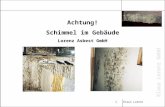 Achtung! Schimmel im Gebäude Lorenz Asbest GmbH