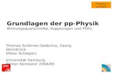 Grundlagen der pp-Physik Wirkungsquerschnitte, Kopplungen und PDFs