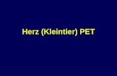 Herz (Kleintier) PET