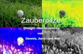 Zauberpilze (magic mushrooms) von Dennis, Junyi und Max