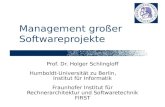 Management großer Softwareprojekte