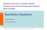 Bachelor-Studium  Studienleitung : Prof. Barbara Fäh
