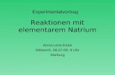 Reaktionen mit elementarem Natrium