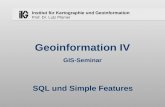 Geoinformation IV