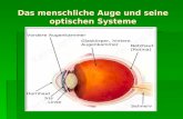 Das menschliche Auge und seine optischen Systeme