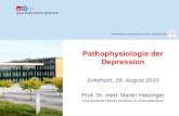 Pathophysiologie der Depression Solothurn, 26. August 2010 Prof. Dr. med. Martin Hatzinger