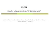 ILEB Modul „Kooperative Förderplanung“