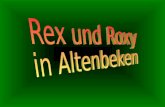 Rex und Roxy in Altenbeken