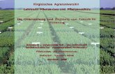 Kirgisischee  Agraruniversit ä t   Lehrstuhl  Pflanzenbau und  Pflanzenschutz