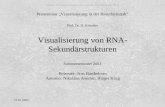 Visualisierung von RNA-Sekund¤rstrukturen