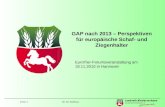 GAP nach 2013 – Perspektiven für europäische Schaf- und Ziegenhalter