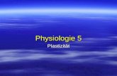Physiologie 5 Plastizität