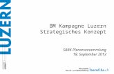 BM Kampagne Luzern Strategisches Konzept