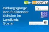 Bildungsg¤nge Berufsbildender Schulen im Landkreis Goslar