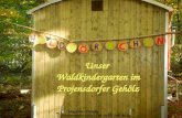 Unser  Waldkindergarten im Projensdorfer Gehölz