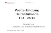 Weiterbildung Hufschmiede FDT 2011