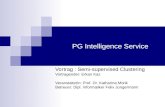 PG Intelligence Service