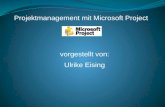 Projektmanagement mit Microsoft Project