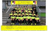 SV  Worblingen C-Jugend Saison 2014/15