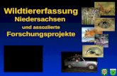 Wildtiererfassung  Niedersachsen  und assoziierte  Forschungsprojekte