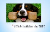 KBS-Arbeitshunde 2012