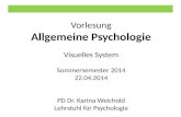 Vorlesung Allgemeine Psychologie Visuelles System Sommersemester 2014 22.04.2014