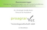 Dr. Christoph Große-Kock Tierarzt für Nutztiere in Westfalen