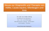 Neues zur Diagnostik und Therapie von Hüfte, Cauda  equina , Ellenbogen und Knie