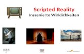 Scripted  Reality Inszenierte Wirklichkeiten